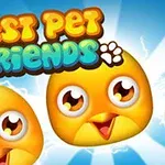 Kék háttér előtt három aranyos, nagy szemű, sárga kismadár, fölöttük Best Pet Friends felirat