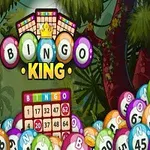 Színes bingó labdák és kártyák erdős háttérrel, a Bingo King felirat előtérben