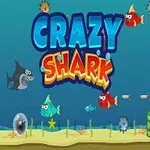Színes víz alatti jelenet cápafigurával, halakkal, tengeralatti járművekkel és buborékokkal, középen a kék és narancssárga Crazy Shark felirattal