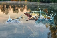 A Fish Rain játékban kapd el a legnagyobb halat!