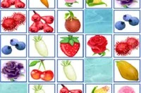 Szükség van a segítségedre a Fruit Connectben!