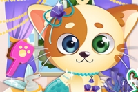 Miau! Gondoskodjunk egy aranyos kóbor cicáról!