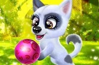 Gondoskodj egy aranyos kiskutyáról és alakíts ki neki egyedi stílust!