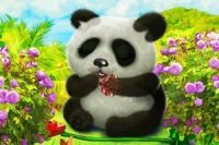 Gondoskodj egy aranyos panda maciról ebben a bájos állat átalakítós játékban!