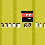 Minimalisztikus, pixel art stílusú ábrázolás egy piros és fekete maszkos karakterről sárga háttér előtt, középen fehér felirattal