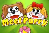 Meet Puppy játékban egy kutyapár tévedt el, és nem tudták, mit tegyenek!