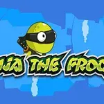 Ninja The Frog Zöld, ninjának öltözött figura fekete maszkban egy kék, stilizált háttér előtt, alatta a Ninja the Frog felirat