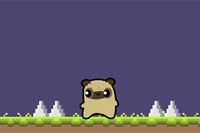 Kezdődik a Pug Love kaland!