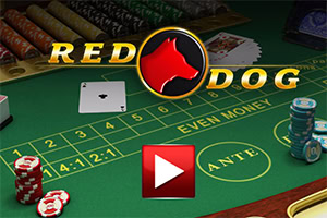 Zöld játékasztal zsetonokkal, kártyákkal és a Red Dog logóval a középpontban