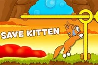 Katasztrófa! Tom, a macska, a tornyába csalta a kiscicákat