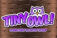 Szökj meg! Kerüld el a denevéreket és az aknákat a Tiny Owl-ban!