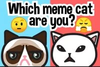 Melyik meme macska vagy? Emoji kvíz